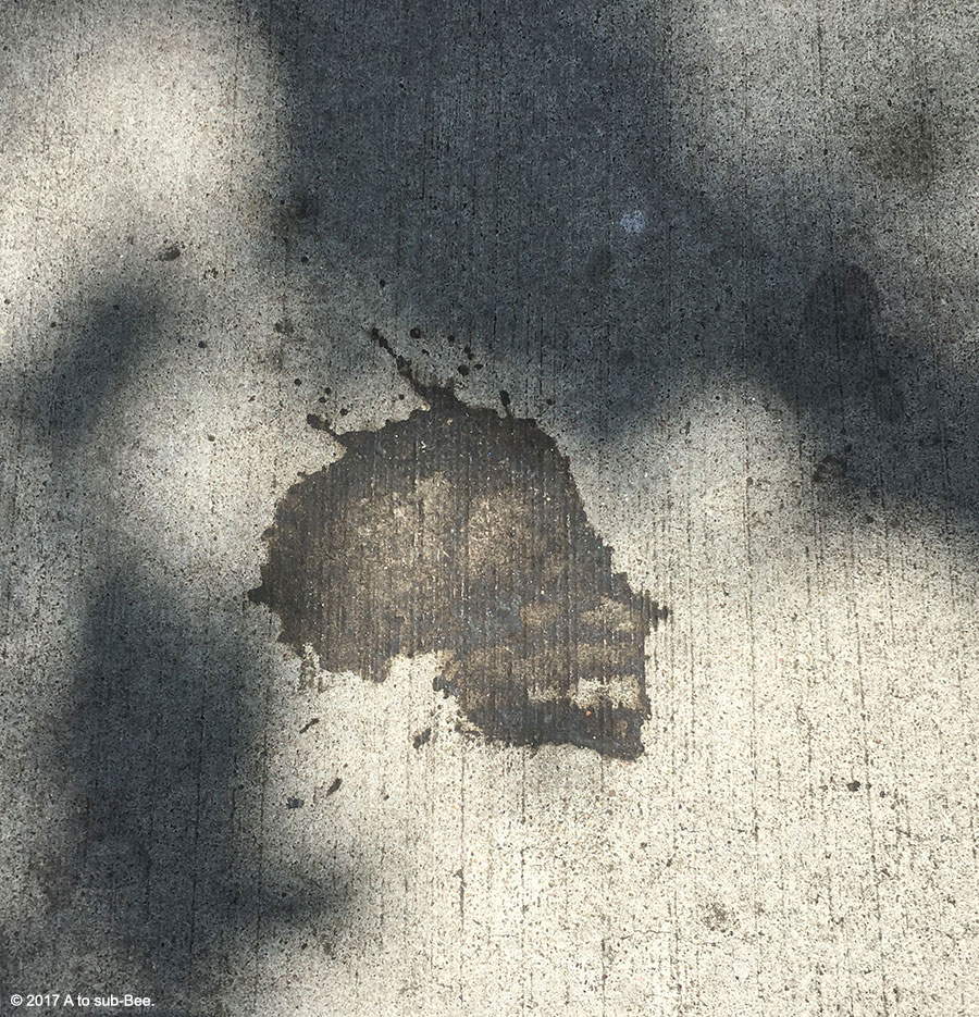 Splattered Skull