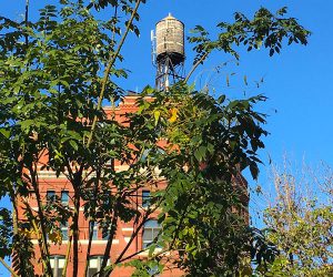 Water tower